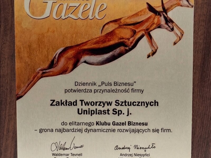 Gazele Biznesu 2005