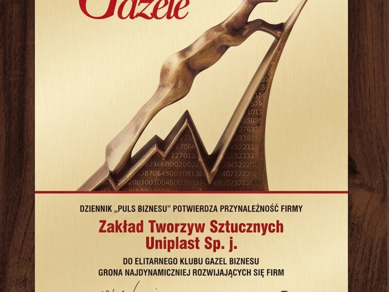 Gazele Biznesu 2006