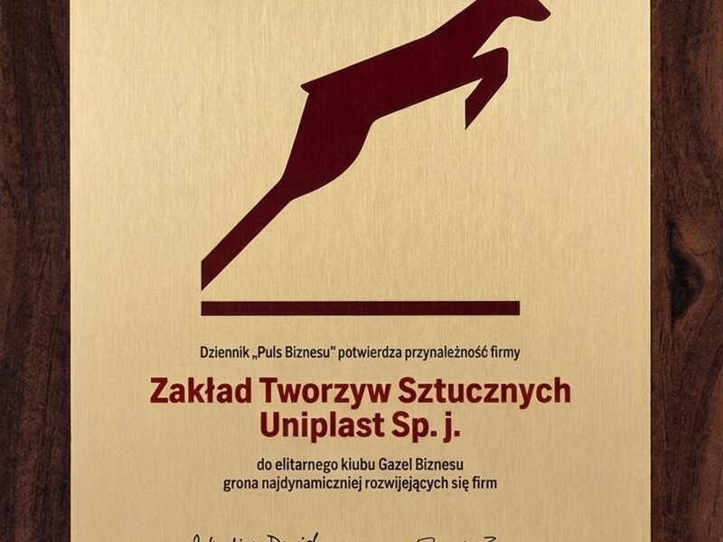 Gazele Biznesu 2007