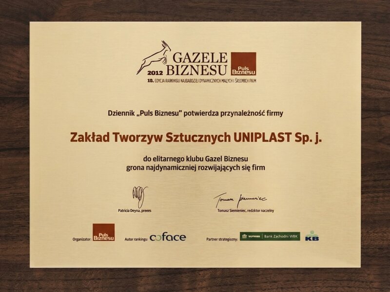 Gazele Biznesu 2012