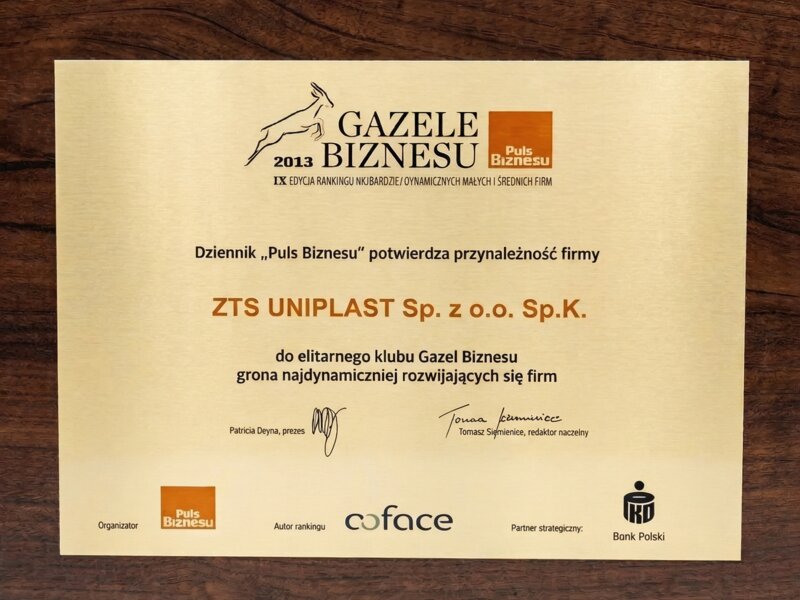 Gazele Biznesu 2013